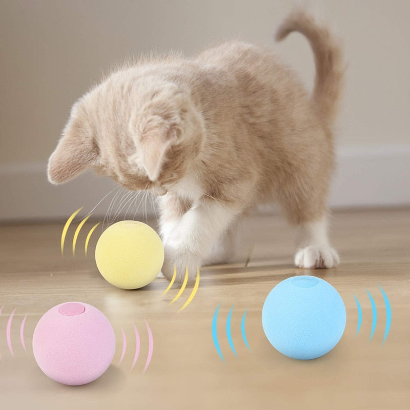 Interactive Ball w/Catnip Toy