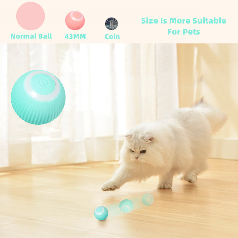 Smart Cat Ball
