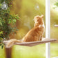 Cat Hammock w/window mount