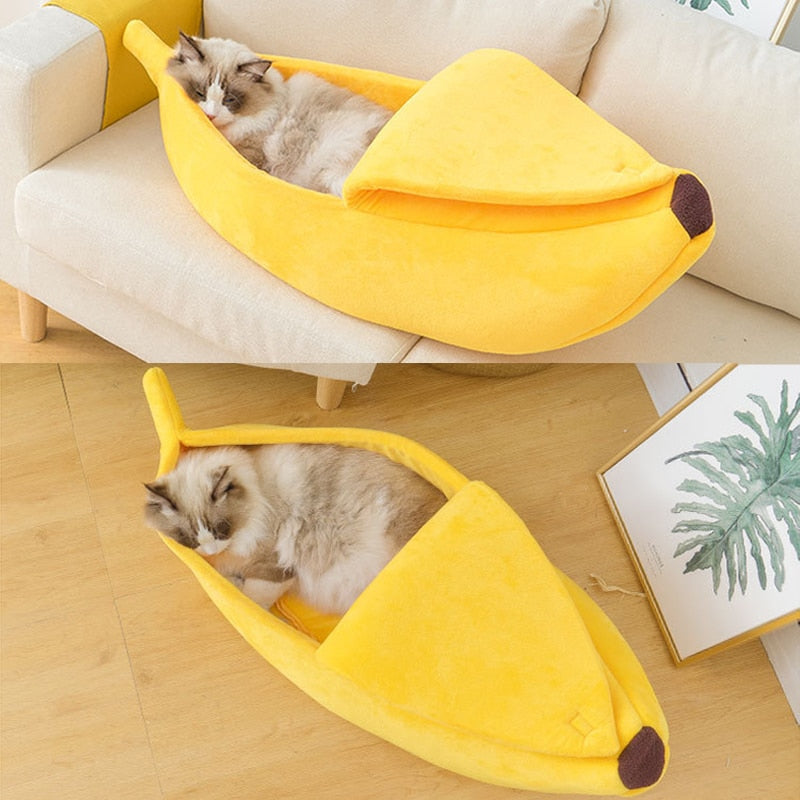 Banana Bed House