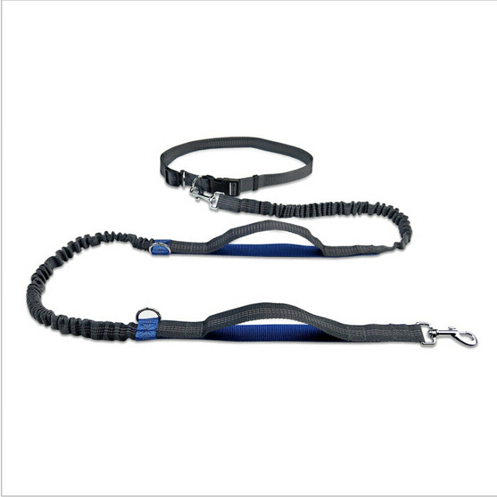 Reflective Rope Pet Leashes