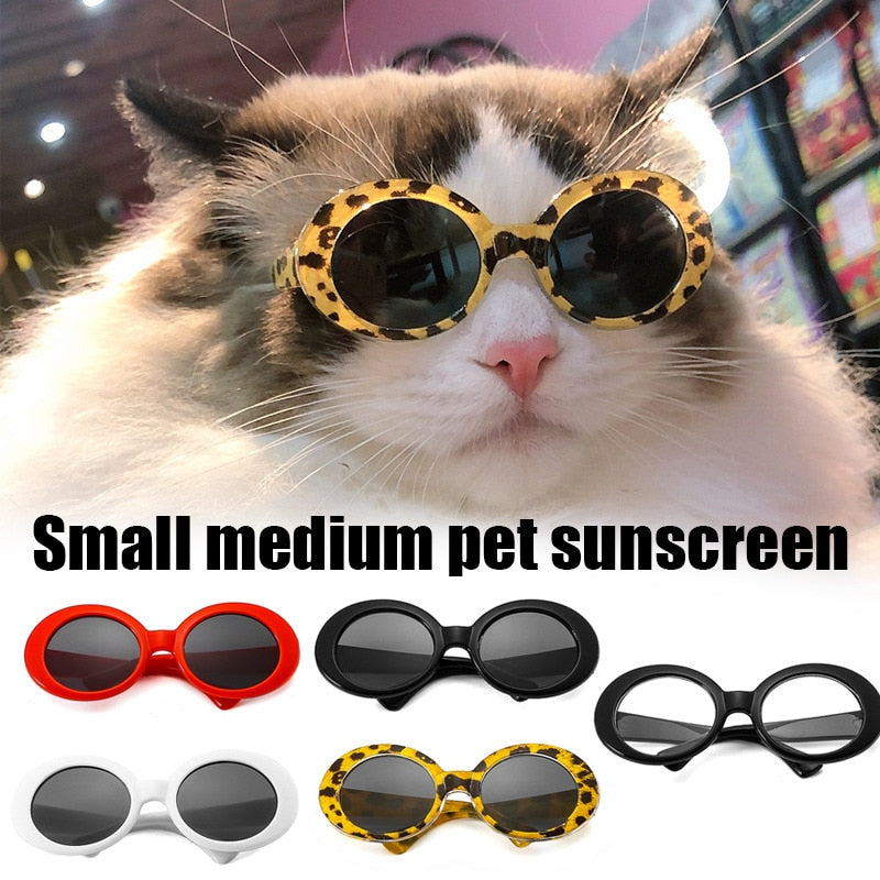Cool Sunglasses